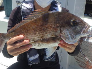 鳴門 釣船 釣り船 愛海