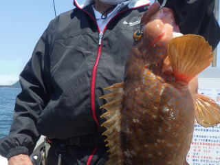 鳴門 釣船 釣り船 愛海