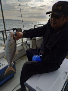 鳴門遊漁船 愛海 太刀魚