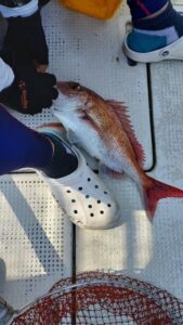 鳴門遊漁船 愛海 鯛ラバ