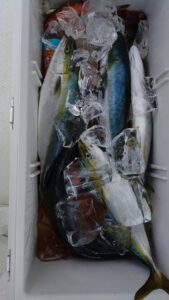 鳴門遊漁船 愛海 鯛ラバ