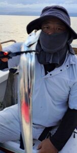 鳴門遊漁船 愛海 太刀魚