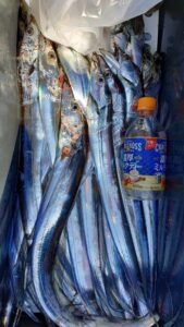 鳴門遊漁船 愛海 太刀魚