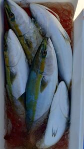 鳴門遊漁船 愛海 ジギング