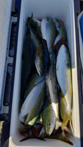 鳴門遊漁船 愛海 ジギング