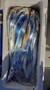 鳴門遊漁船 愛海 ジギング