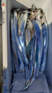 鳴門遊漁船 愛海 ジギング