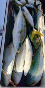 鳴門遊漁船 愛海 ジギング