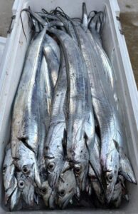 鳴門遊漁船 愛海 ジギング