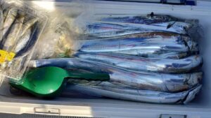 鳴門遊漁船 愛海 ジギング