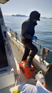 鳴門遊漁船 愛海 ジギング