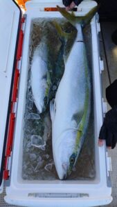 鳴門遊漁船 愛海 ジギング