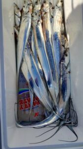 鳴門遊漁船 愛海 ジギング