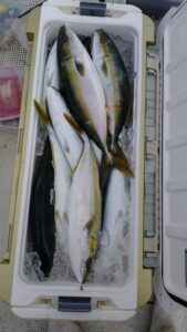 鳴門遊漁船 愛海 ジギング