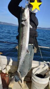 鳴門遊漁船 愛海 鯛ラバ