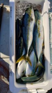 鳴門遊漁船 愛海 鯛ラバ