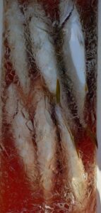 鳴門遊漁船 愛海 メバル