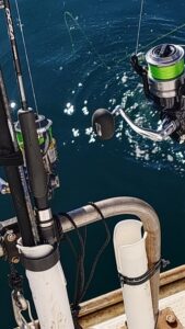 鳴門遊漁船 愛海 メバル