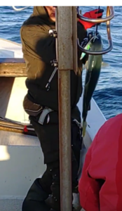 鳴門遊漁船 愛海 メバル