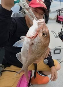 鳴門遊漁船 愛海 鯛ラバ