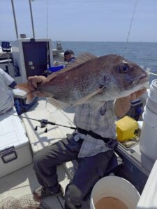 鳴門遊漁船 愛海 太刀魚