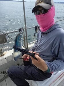 鳴門遊漁船 愛海 太刀魚