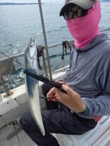 鳴門遊漁船 愛海 太刀魚